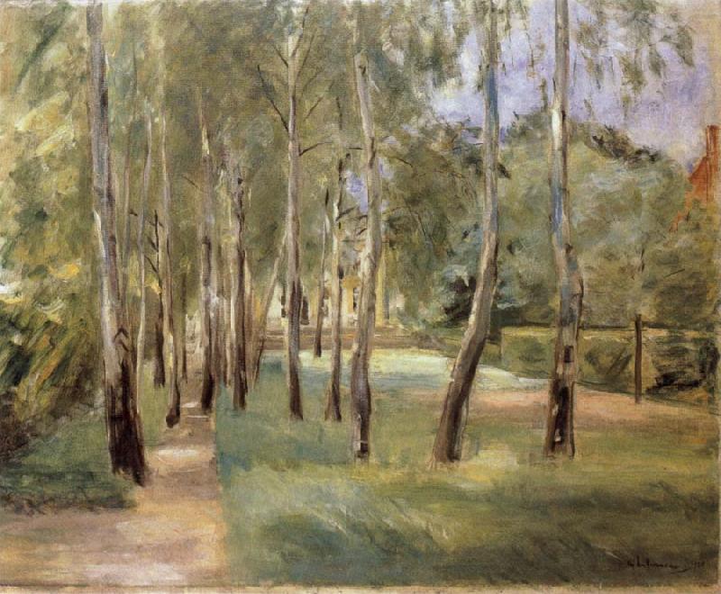 Max Liebermann The Birch-Lined Avenue in the Wannsee Garden Facing West china oil painting image